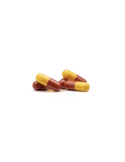 INMUNOFERON 500 MG 90 CAPSULAS 6 INMUNOFERON 500 MG 90 CAPSULAS -Ibanez Farmacia Tienda inmunoferon 500 mg 90 capsulas 1