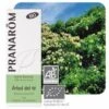 PRANAROM ÁRBOL DE TÉ ACEITE ESENCIAL 10 ML 2 PRANAROM ÁRBOL DE TÉ ACEITE ESENCIAL 10 ML -Ibanez Farmacia Tienda pranarom arbol de te aceite esencial 10 ml