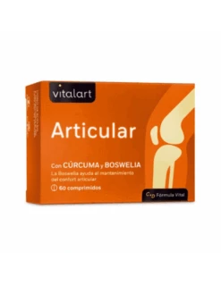 VITALART ARTICULAR 60 COMP